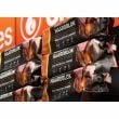 Blocs de Bois de Cheminée FSC Giant Flames - Pack 12 x 700g (8.4 kg) Bio-Cire Longue Durée